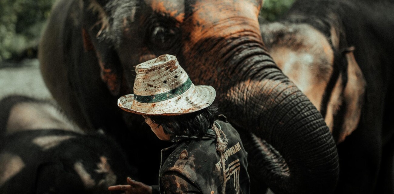 A man with an elephant.